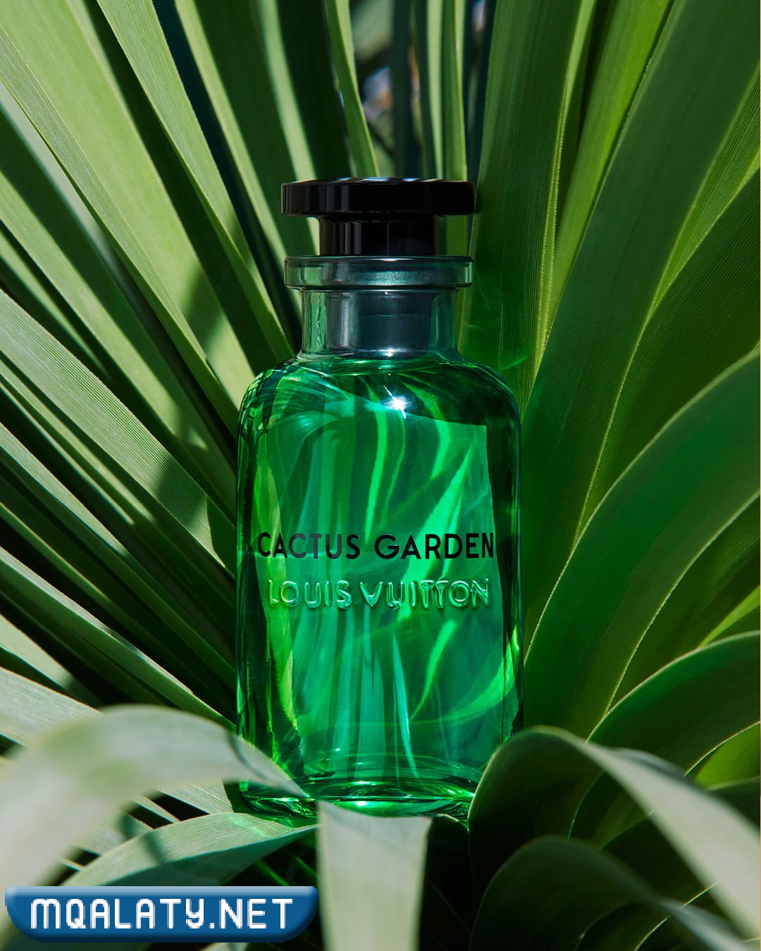 افضل عطر لويس فيتون رجالي