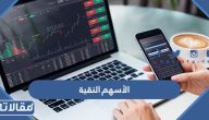 الأسهم النقية 1445 المتوافقة مع الضوابط الشرعية