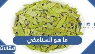 ما هو السنامكي (استخداماته + فوائده + اضراره)