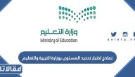 نماذج اختبار تحديد المستوى بوزارة التربية والتعليم pdf وdoc جاهزة للطباعة
