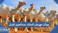 جوائز مهرجان الملك عبدالعزيز للإبل 1445