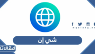 موقف شركة شي إن من القضايا الاجتماعية المعاصرة