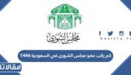 كم راتب عضو مجلس الشورى في السعودية 1447